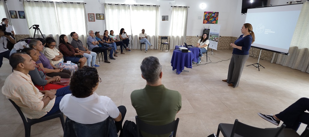a person giving a presentation to a group of people